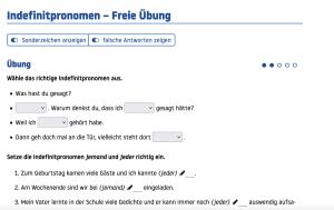 Cover: Indefinitpronomen in der deutschen Grammatik