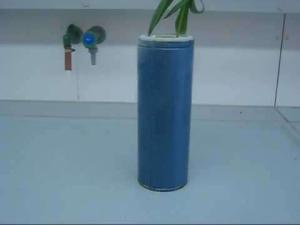 Cover: Flüssiger Stickstoff trifft auf Tulpe | Laborversuch