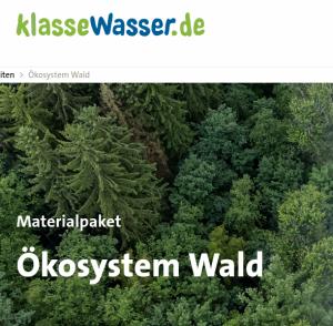 Cover: Ökosystem Wald