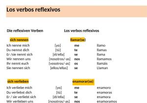Cover: Los verbos reflexivos
