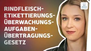Cover: Das längste deutsche Wort – so entstehen Kompositionen