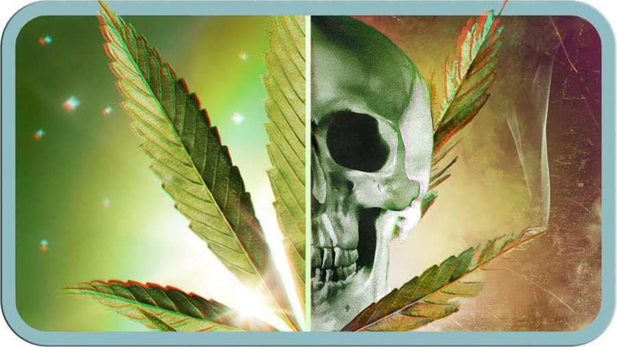 Cover: Die Wahrheit über Cannabis
