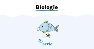 Cover: Belege der Biogeographie