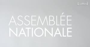 Cover: Und Institution française : L'Assemblée nationale