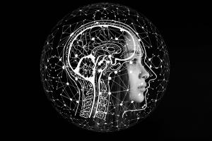 Cover: Lernen aus neurobiologischer Perspektive