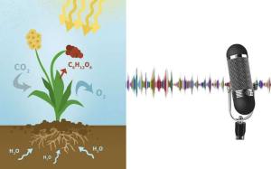 Cover: Einen wissenschaftlichen Audio-Podcast planen und erstellen