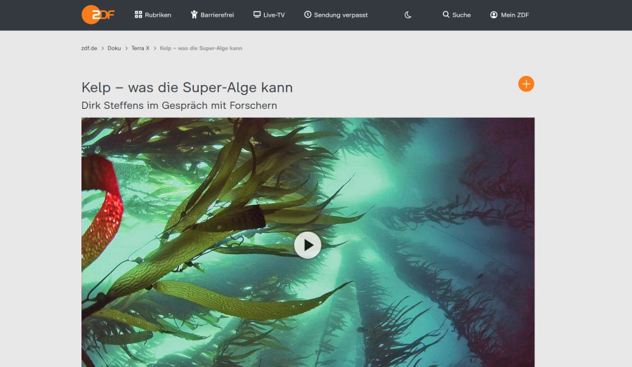Cover: Kelp – was die Super-Alge kann - ZDFmediathek