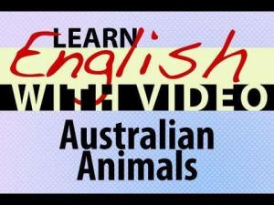 Cover: Learn English with Video - Australian Animals