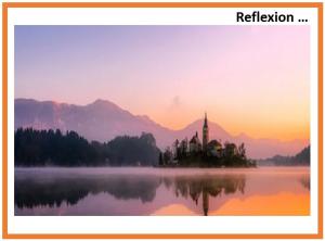 Cover: Selbst-Reflexion
