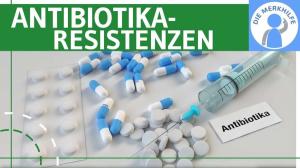 Cover: Antibiotika-Resistenzen - Bakterien / Genetik einfach erklärt - Ursachen, Entstehung & Schutz