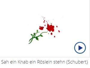 Cover: Franz Schubert: Sah ein Knab ein Röslein stehn