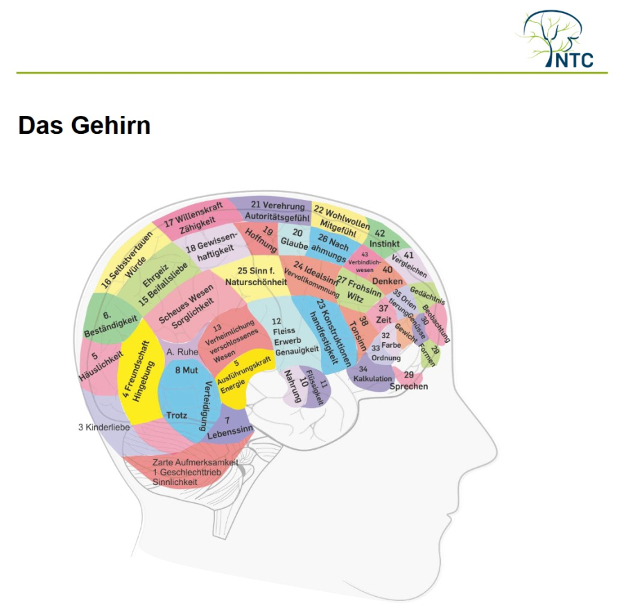 Cover: Aufbau und Funktion des Gehirns