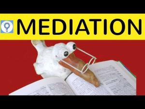 Cover: How to write a mediation - Aufbau & Vorgehensweise bei einer Mediation in Englisch / Deutsch