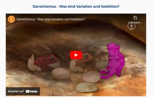Cover: Darwinismus - Was sind Variation und Selektion?