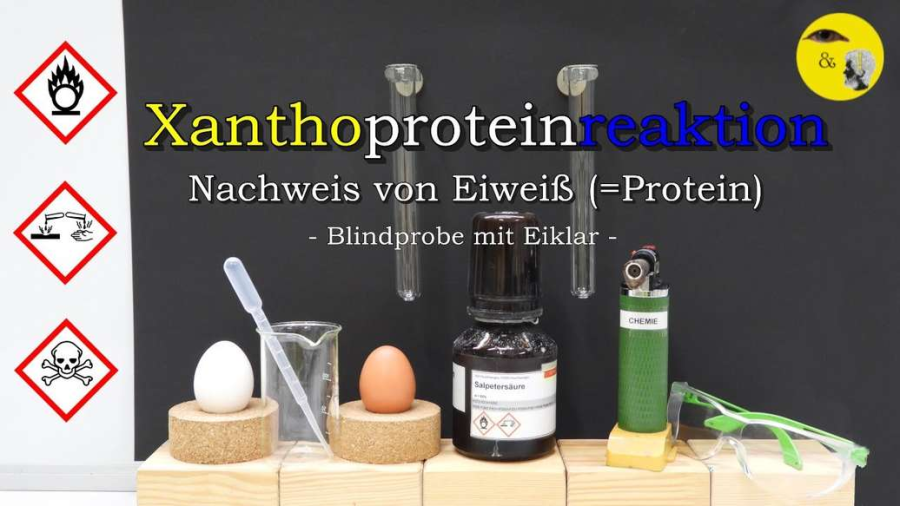 Cover: Xanthoproteinreaktion - Nachweis von Eiweiß (Blindprobe)