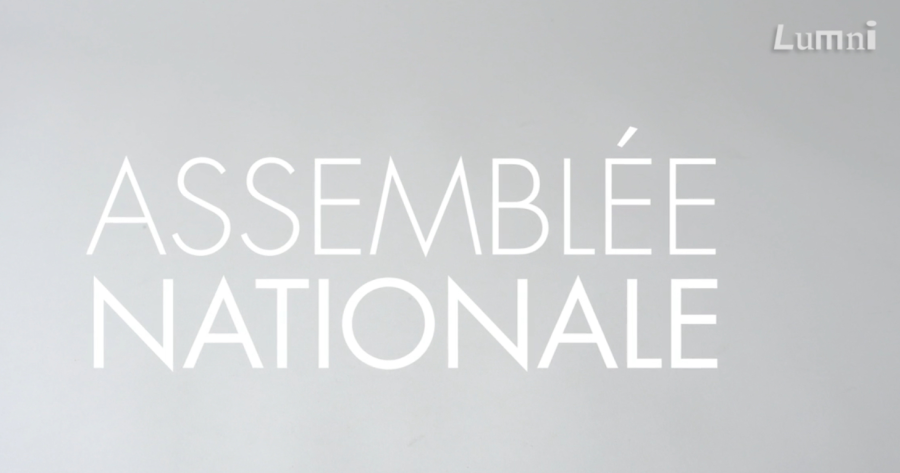 Cover: Und Institution française : L'Assemblée nationale