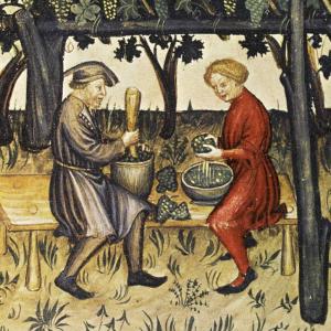 Cover: Medizin im Mittelalter - Der Garten der Gesundheit