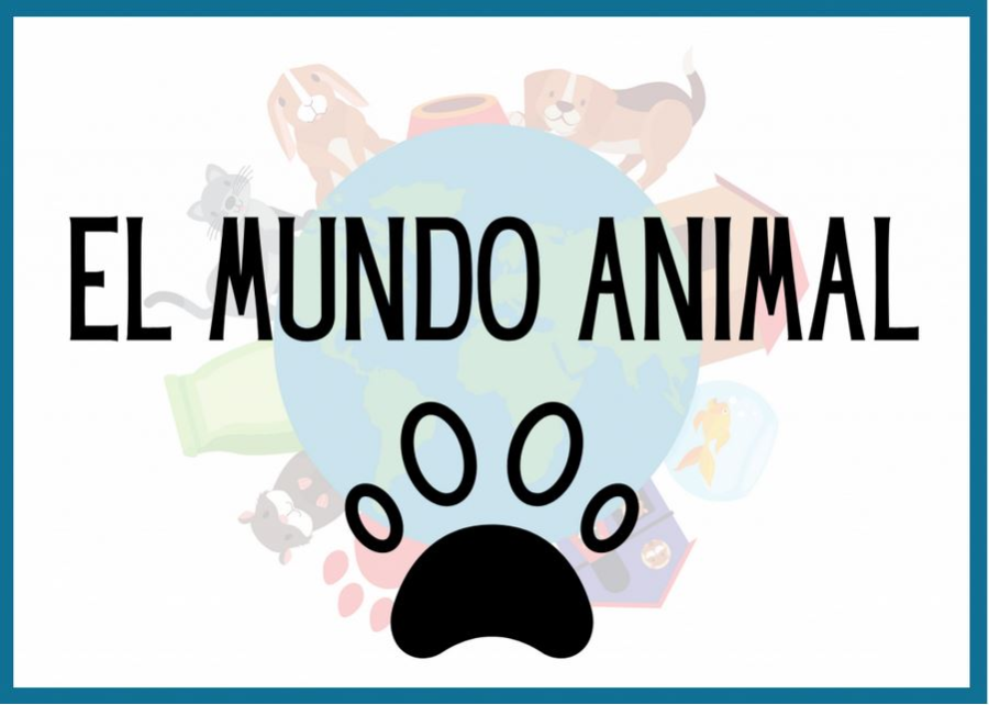 Cover: Animales