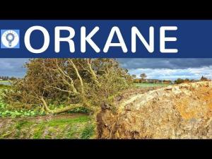 Cover: Orkane - Was sind Orkane? Wie entstehen Orkane? Wieso gibt es immer mehr Orkane? 