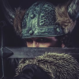 Cover: Die grönländischen Wikinger - Vom Verschwinden einer Kultur
