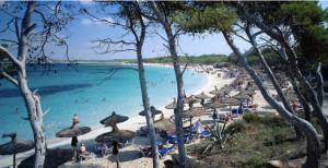 Cover: Hotelbau | Streit um Mallorcas letztes Naturjuwel