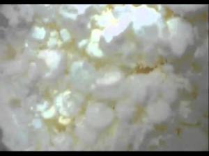 Cover: Mikroskopvideo 024 - Gelbes Blutlaugensalz x 200 - potassiumferricyanide magnified