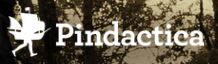 Cover: Pindactica - Lehrmaterial 