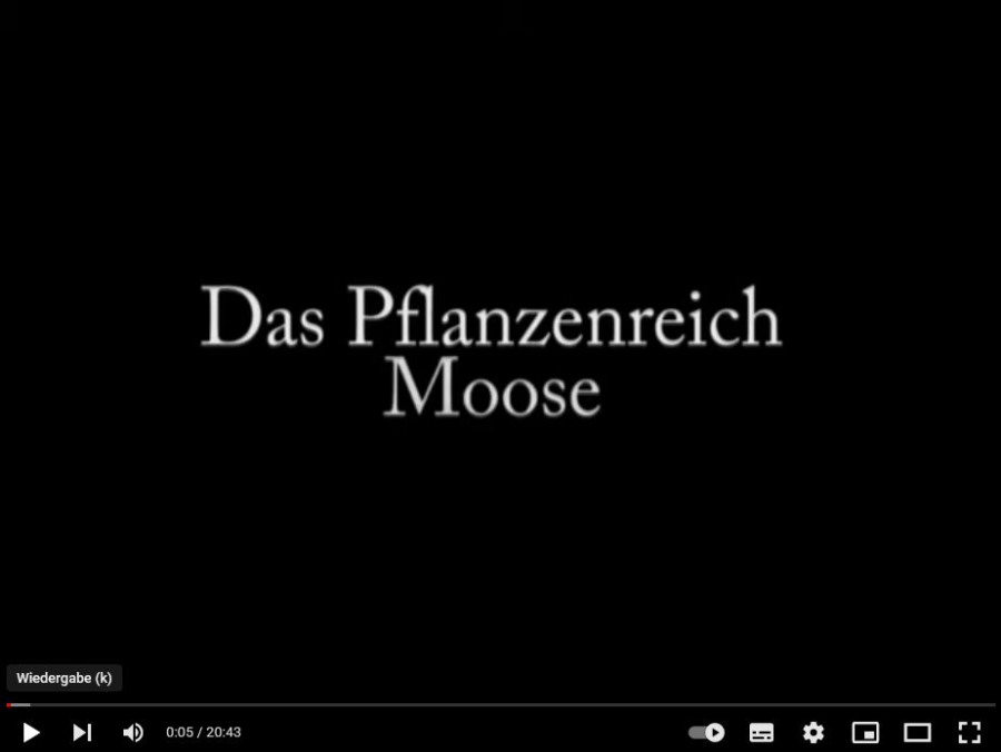 Cover: Das Pflanzenreich: Moose