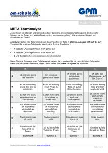 Cover: PMmS-MPM_17-META-Teamanalyse