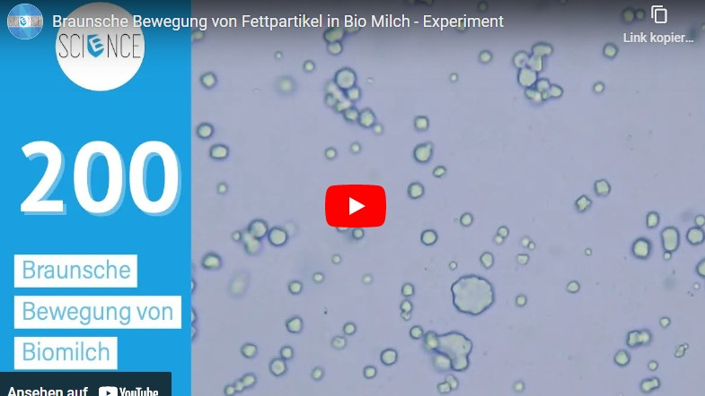 Cover: Brownsche Bewegung von Fettpartikel in Bio Milch - Experiment