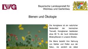 Cover: Bienen und Ökologie