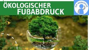 Cover: Ökologischer Fußabdruck einfach erklärt - Begriff, Berechnung, Beispiel & Kritik - Ökologie