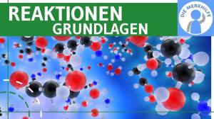 Cover: Reaktionen - Grundlagen, Ladung, Elektrophile, Nucleophile einfach erklärt - Organische Chemie