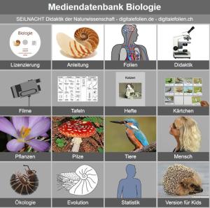 Cover: Mediendatenbank Biologie - Seilnacht