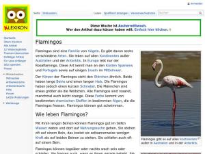 Cover: Flamingos