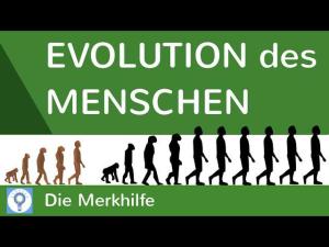 Cover: Evolution des Menschen - einfach erklärt! + Wasseraffen- & Savannentheorie | Evolution 25
