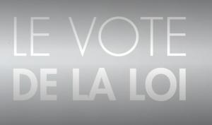 Cover: Le vote de la loi