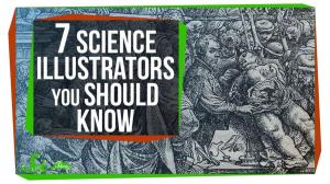 Cover: 7 Science Illustrators You Should Know