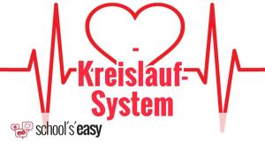 Cover: Das Herz-Kreislauf-System des Menschen