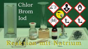 Cover: Reaktivität der Halogene - Chlor, Brom, Iod mit Natrium