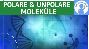 Cover: Polare & unpolare Moleküle einfach erklärt - Beispiele Wasser & Kohlenstoffdioxid - Chemie