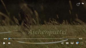 Cover: Aschenputtel  |  Bis 31.12.2024