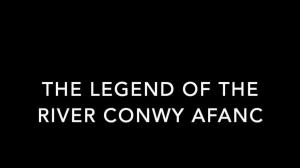 Cover: The Legend of the River Conwy Afanc
