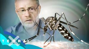 Cover: Bringt Olympia das Zika-Virus? | Harald Lesch
