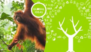 Cover: Unsere Wälder - Bedeutung, Bedrohung, Schutz