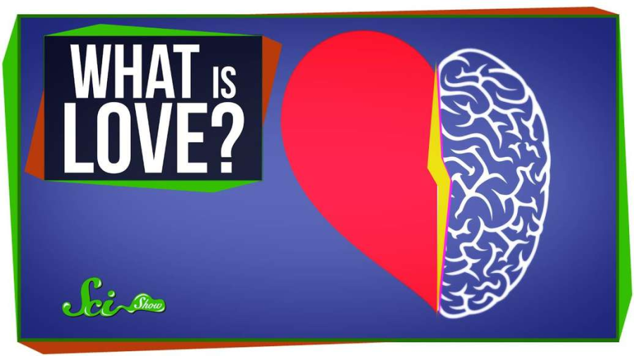 Cover: World’s Most Asked Questions: What Is Love?