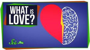 Cover: World’s Most Asked Questions: What Is Love?
