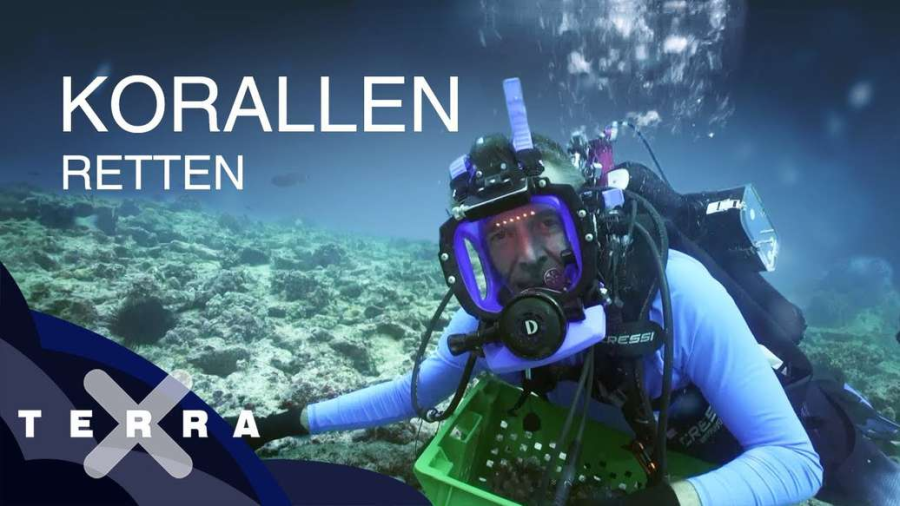 Cover: Bedrohung der Korallenriffe | Dirk Steffens auf den Seychellen | Terra X