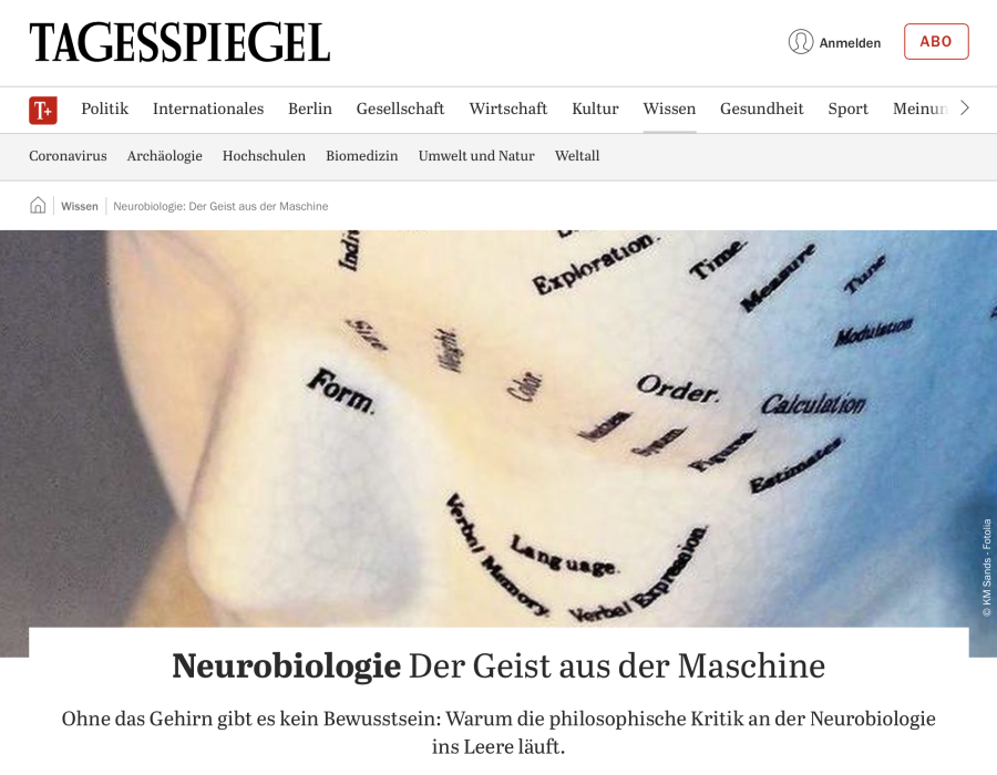 Cover: Neurobiologie: Der Geist aus der Maschine
