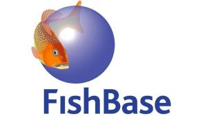 Cover: Fishbase
